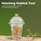 Honeydak 50 Pack Praying Mantis Habitat, Live Chinese Ootheca Praying Mantis - Image 4