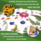 18 Types 75 Pcs Dried Pressed Leaves Flowers Real Natural Dried Plant - Image 4