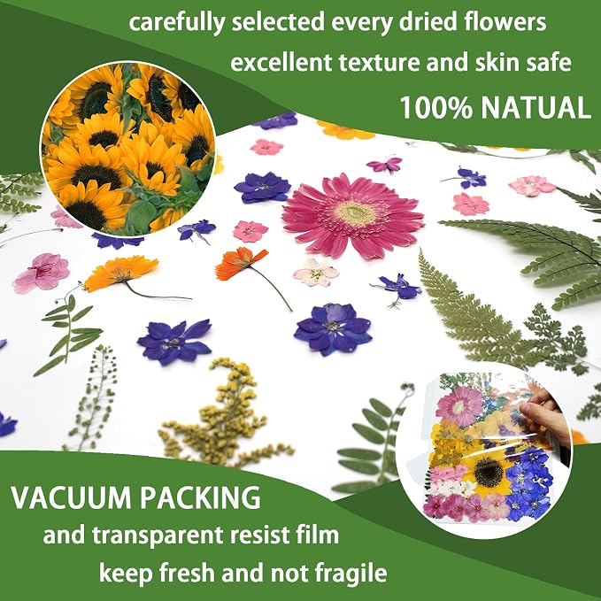 18 Types 75 Pcs Dried Pressed Leaves Flowers Real Natural Dried Plant - Image 4