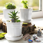 Jetec 12 Pcs Mini Fairy Garden Accessories Miniature Tiny Stone Bridge Mini - Image 7