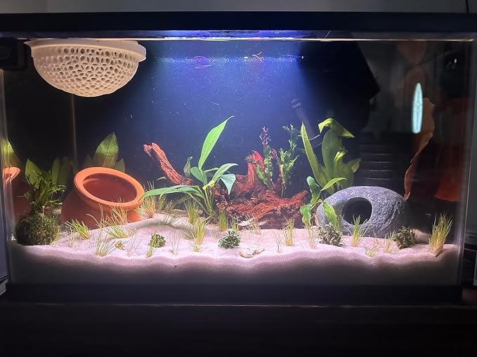 emours Aquarium Driftwood Fish Tank Decoration) - Image 3