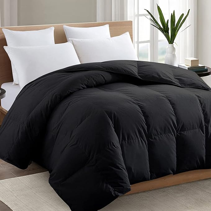TEXARTIST Premium 2100 Series Full Comforter All Season Breathable Black by TEXARTIST