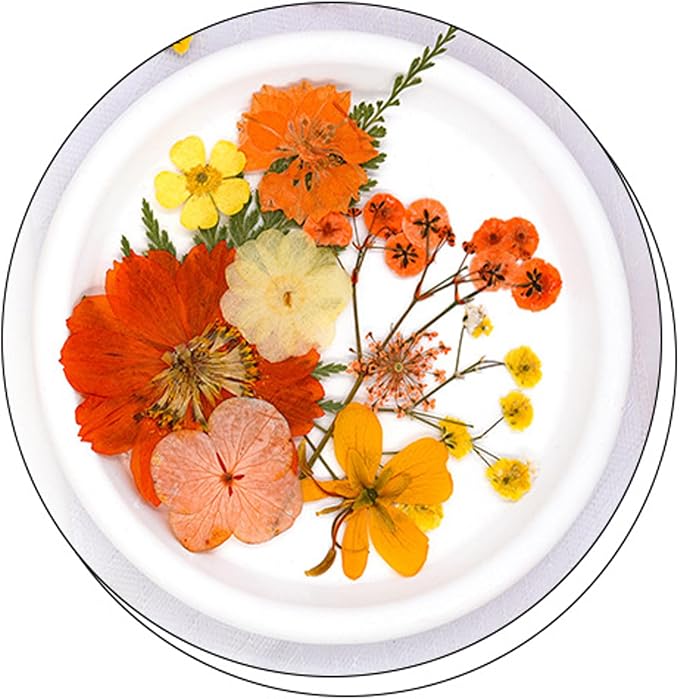 30Pcs Dried Pressed Flowers for Resin DIY Art Crafts Natural Dry Leaves Daisy - Image 3