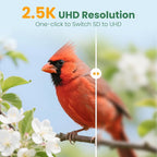 Smart Bird Feeder Camera with Solar Panel, Bamboo | 2.5K UHD, AI Identification - Image 7