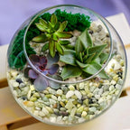 5 lb Jade Pebbles for Indoor Plants, 3/8 Inch Polished Decorative Pebbles for - Image 3
