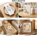 NESCCI 83 Pcs Dried Flowers for Crafts, Real Natural Dried Pressed Flowers in - Image 4