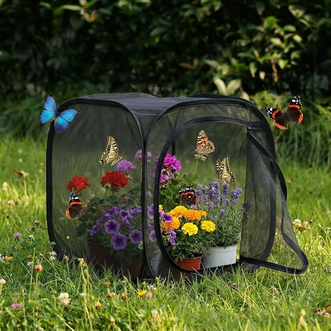Insect & Butterfly Habitat Cage, Portable Pop-Up Terrarium - Image 6