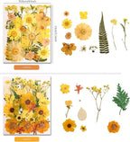 100 PCS Yellow Pressed Dried Flowers and Leaves - Image 3