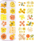 60Pcs Small Dried Pressed Flowers by Unknown