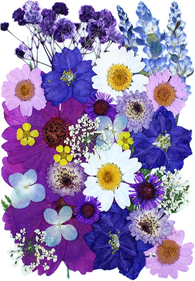 35Pcs Dried Pressed Flowers for Resin DIY Art Crafts Natural Dry Floral Daisy by TopFunny