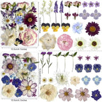 Purple Pressed Flowers 88Pcs Real Natural Dried - Image 2