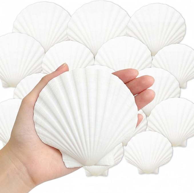 Denking 30 PCS Scallop Shells Mixed Sizes 3–5 Inch Natural White Seashells by Unknown