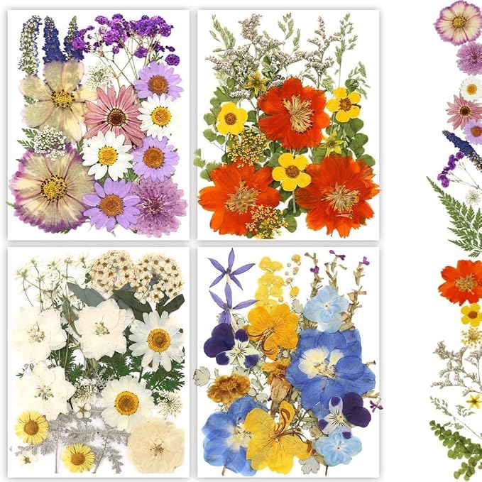 Dried Pressed Flowers by Buzidao