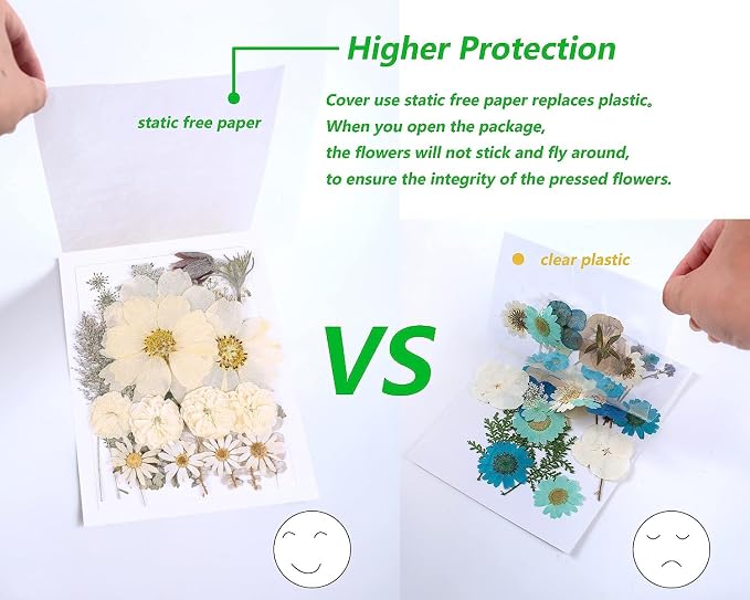 48PCS White Large Real Dried Pressed Flowers Leaves Natural Plant Herbarium - Image 4