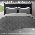downluxe Twin Comforter Set - Image 2