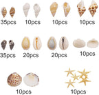 yaokan 10 Styles Natural Sea Shells & Starfish Set - Image 2