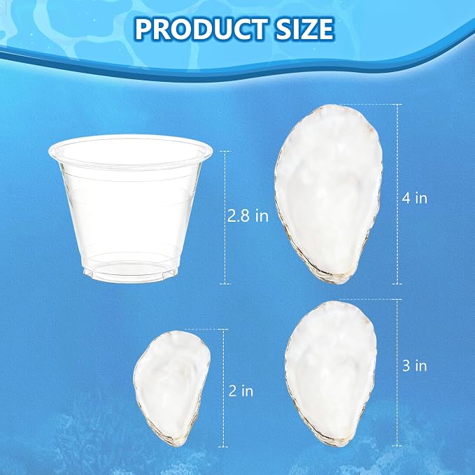 20Pcs 3-4 Inch Natural Oyster Shells - Image 2