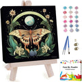 Artunion Framed Paint by Numbers Kit by ArtunionDriect