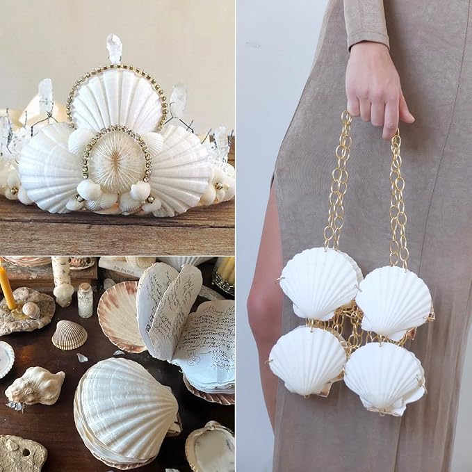 Jangostor 10 PCS Scallop Shells Natural Seashell, Fish Tank and Vase Filler - Image 4