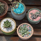 0.88 LB Colored Pea Gravel, Succulent Cactus Topper Dressing Pebbles, 3-5mm | - Image 6