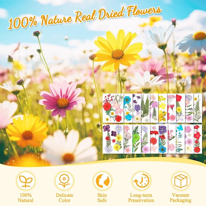 200 Pcs Dried Pressed Flowers for Crafts, 20 Sheets Real Dry Florals and Leaves - Image 4
