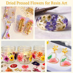 200 Pcs Dried Pressed Flowers for Crafts, 20 Sheets Real Dry Florals and Leaves - Image 7