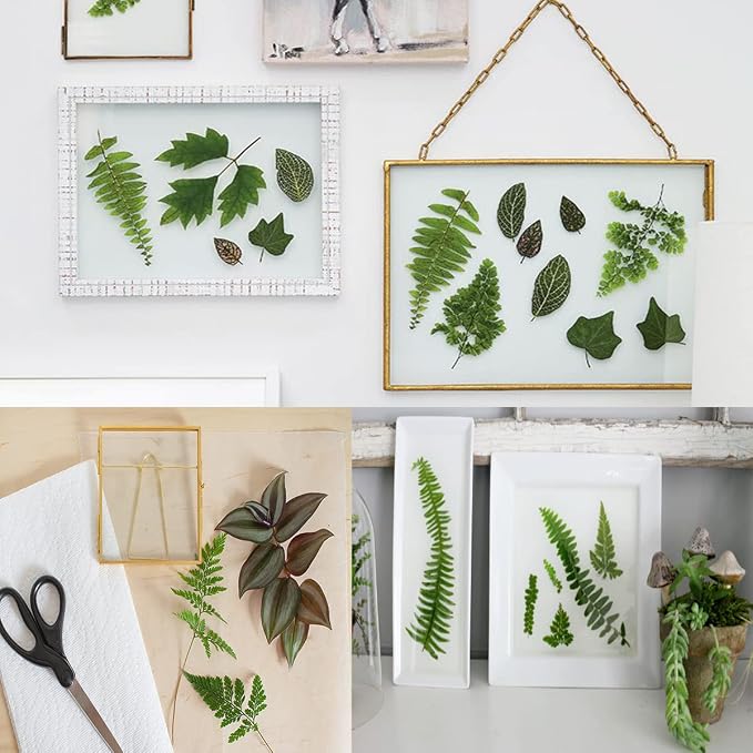 30PCS Green Dried Pressed Leaf Leaves, YouthBro Greenery Real Nature Plant - Image 3