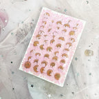 Natural Dried Pink Daisy Flower, Vacuum Packaging, Pressed Flower - Image 5