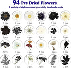 94 Pcs Black Pressed Dried Flowers - Image 5