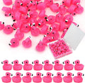 50pcs Mini Resin Flamingo Ducks, Tiny Flamingo Figurines to Hide, Miniature by QUPIVA