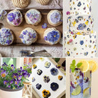 48 Pcs Real Natural Viola Pansy Dried Pressed Flowers - Image 7