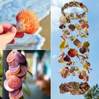 30 PCS+ Scallop Shells Natural Seashell, 1.5"-2.5" Colorful Scallop Shells - Image 7