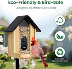 Smart Bird Feeder Camera with Solar Panel, Bamboo | 2.5K UHD, AI Identification - Image 4