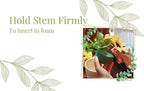 Pack of 4 FLOFARE Round Floral Foam Blocks - Image 5