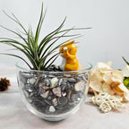 Natural Crushed Shells Chips Irregular Mother of Pearl Seashell Fragments Sea - Image 3