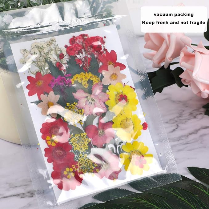 Augshy Dried Pressed Flowers, Natural Resin Flowers, Real Mixed Color Pressed - Image 4