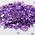 QICQDRAM Crushed Shells for Crafts About 2LB Small Natural Crushed Shells Bulk - Image 2