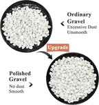 FANTIAN 5 lbs White Pebbles for Indoor Plants, 3/8 Inch Decorative White Gravel - Image 3