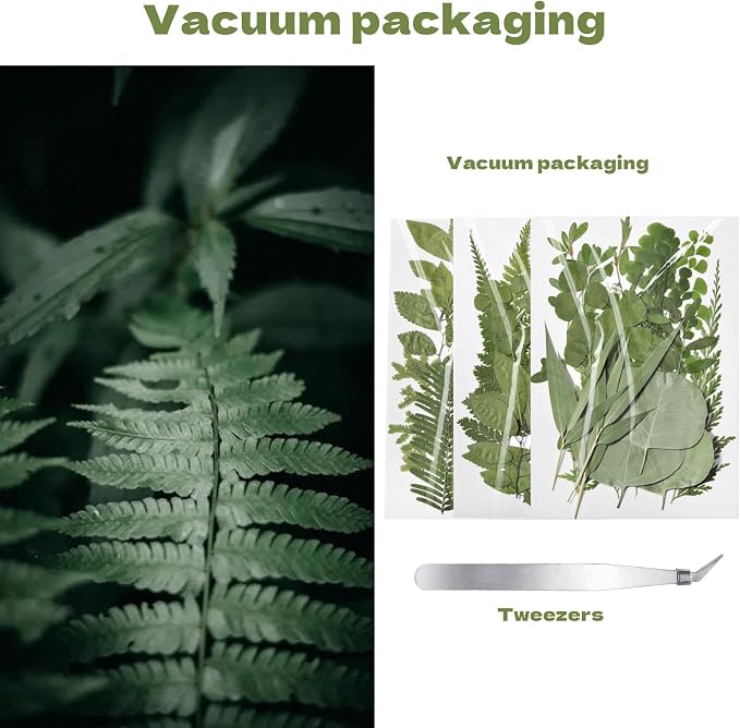 63 Pcs Dried Flowers for Resin | 21 Styles Pressed Leaves, Natural Dry Leaves - Image 5