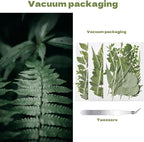 63 Pcs Dried Flowers for Resin | 21 Styles Pressed Leaves, Natural Dry Leaves - Image 5