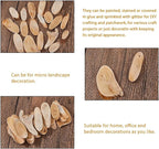 SUPERFINDINGS 300g Natural Driftwood Pieces DIY Dried Wood Sticks Oval Wooden - Image 4