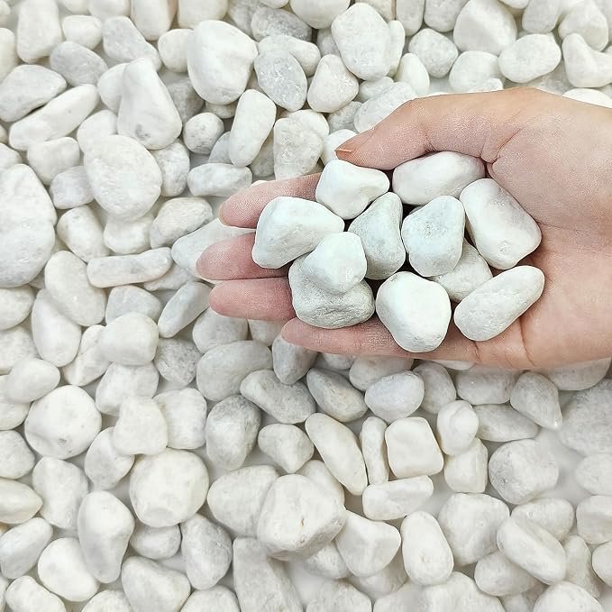 FANTIAN 20 lbs White River Rocks by FANTIAN-GardeningMakesLifeBetter