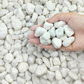 FANTIAN 5 lbs White Pebbles for Indoor Plants, 0.5-1 Inch Pea Gravel Stones for by FANTIAN-GardeningMakesLifeBetter