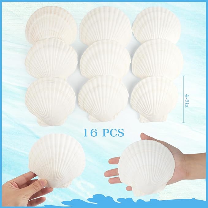 Jangostor 16 PCS Scallop Shells Natural Seashell, Fish Tank and Vase Filler - Image 2