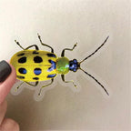Bug Decals, Realistic Transparent Insect PET Sticker, Waterproof Bug Stickers - Image 2