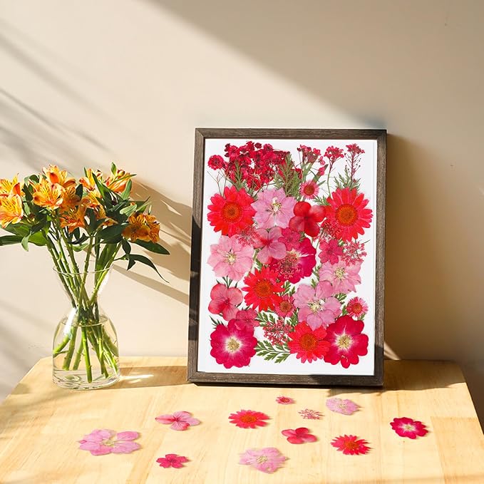 37Pcs Red Dried Pressed Flowers Natural Dried Flowers - Image 5