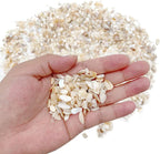 Crushed Shells for Crafts, Sea Shells for Kids DIY Art, Vase Fillers Table - Image 4