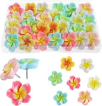30pcs Flower Cabochons Flatback Plumeria Flower Push Pins in 7 Colors Cute by Sohalejr