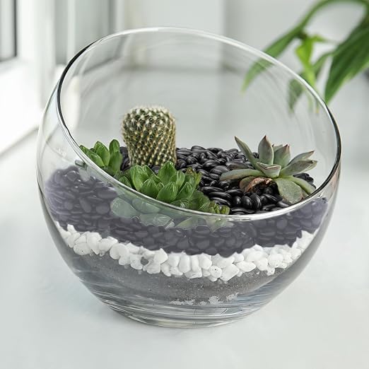Pulovin 10 lbs Black Pebbles for Indoor Plants, 3/8" Plant Rocks for Pots Indoor - Image 6