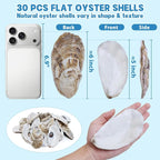 5"-6" 30PCS Extra Large Oyster Shells, Natural Flat Oyster Shells - Image 2